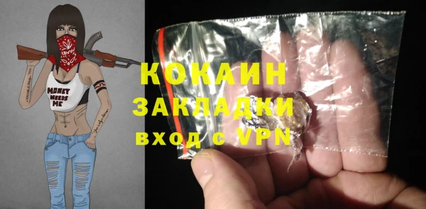 амф Жердевка