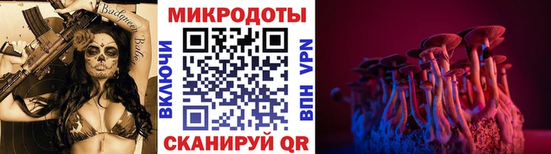 Купить закладки  Кувандык  Галлюциногенные грибы Cubensis 